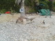 Sanremo: rifiuti abbandonati sulla spiaggia, la risposta di Amaie Energia ad un lettore