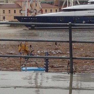 Canne e detriti al porto di Oneglia. Capacci: "Colpa di un grave errore progettuale commesso da un 'genio' " Canne e detriti al porto di Oneglia. Capacci: "Colpa di un grave errore progettuale commesso da un 'genio' "