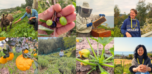 Inaugura il nuovo mercato Campagna Amica a Bordighera: il primo del ponente ligure