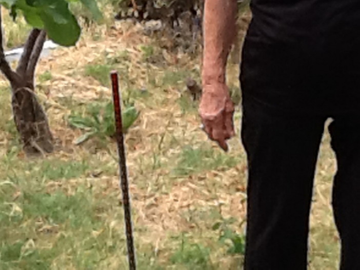 I picchetti piantati dagli operai