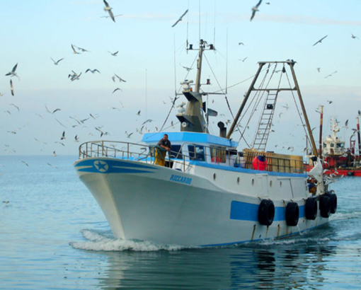 GAL FISH Liguria, nuovo stanziamento di Regione Liguria da 1,8 milioni