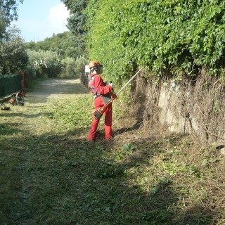 Via Iulia Augusta, nuova fase dei lavori di pulizia: i volontari della Protezione Civile riconquistano l'antico tracciato romano