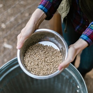 Legna o pellet? Guida pratica per scegliere il sistema di riscaldamento giusto per la tua casa
