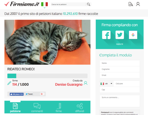 Sanremo: su Firmiamo.it una raccolta firme per chiedere che il gatto Romeo torni tra le corsie dell'Ospedale
