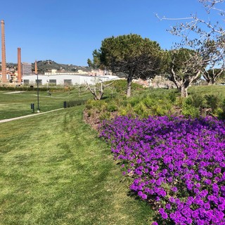 Imperia, il Comune vicino alla realizzazione del parco dell'energia: il mega progetto affidato alla Rti 'Enel Sole' Imperia, il Comune vicino alla realizzazione del parco dell'energia: il mega progetto affidato alla Rti 'Enel Sole'
