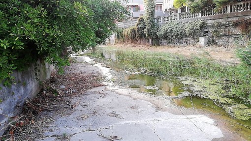 Diano Marina: dalla pulizia dei torrenti una discarica, raccolti 10 sacchi di spazzatura e tanti ingombranti Diano Marina: dalla pulizia dei torrenti una discarica, raccolti 10 sacchi di spazzatura e tanti ingombranti