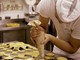 San Bartolomeo al Mare: grande successo per la prima edizione del 'Corso di Pasticceria' San Bartolomeo al Mare: grande successo per la prima edizione del 'Corso di Pasticceria'