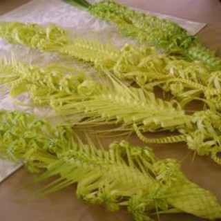 Si avvicina la 'Domenica delle Palme': a Bordighera anche quest'anno l'arte dei 'Parmureli'