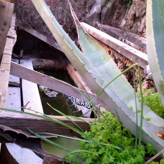Sanremo: rimosso pannello alla cascata di Parco Marsaglia, la protesta del Beppe Grillo Meetup Sanremo: rimosso pannello alla cascata di Parco Marsaglia, la protesta del Beppe Grillo Meetup