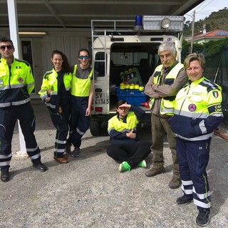 Cervo: L'associazione volontari della Protezione Civile Cervo partecipa al progetto sul monitoraggio della vespa velutina