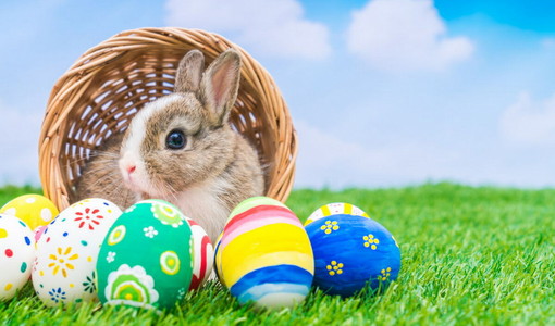 Speciale weekend di Pasqua e Pasquetta: tre giorni di sole e grandi eventi in tutta la provincia di Imperia