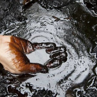 "No al petrolio nel mar ligure", nasce il gruppo su Facebook contro l'inquinamento del nostro mare "No al petrolio nel mar ligure", nasce il gruppo su Facebook contro l'inquinamento del nostro mare