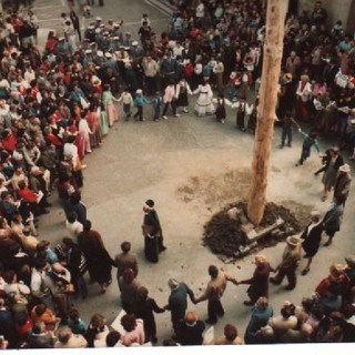 Bajardo: domenica prossima si svolge il 'Raduno Alpino' e, nel pomeriggio l'abbattimento dell'albero di Pentecoste