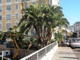 Sanremo: intervento di potatura alla palma di via Nino Bixio, tre ore di cantiere complesso per la viabilità Sanremo: intervento di potatura alla palma di via Nino Bixio, tre ore di cantiere complesso per la viabilità