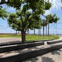 Santo Stefano al Mare inaugura la festa patronale: domenica 2 agosto musica, balli e spettacolo con Gianni Rossi Santo Stefano al Mare inaugura la festa patronale: domenica 2 agosto musica, balli e spettacolo con Gianni Rossi