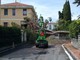 Bordighera: maltempo, pino marittimo cade in via Alessandro Manzoni, nessun ferito Bordighera: maltempo, pino marittimo cade in via Alessandro Manzoni, nessun ferito