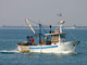 Torna il pesce fresco: da domani in mare anche nella nostra provincia i pescherecci dopo il blocco dell'attività