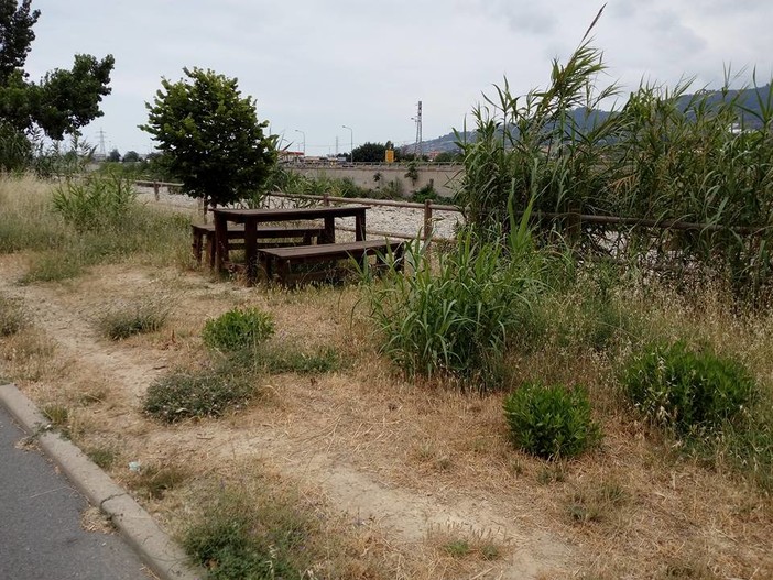 Detrazione del 36% per chi si prende cura del verde: in Liguria oltre 800 imprese interessate