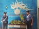 Bordighera: piantagione di marijuana sul terrazzo, arrestato 56enne disoccupato