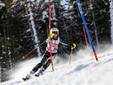 Elisa Pagani Elisa Pagani