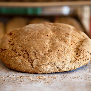 Triora: iniziativa del Comune per bonificare una serie di terreni a rischio incendi e tornare a coltivare il grano