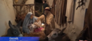 Il presepe di Gazzelli: memoria, fede e tradizione che rivivono nel tempo (Video)
