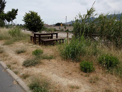 Detrazione del 36% per chi si prende cura del verde: in Liguria oltre 800 imprese interessate