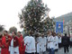 Dolceacqua: 29 gennaio, torna la tradizionale processione dell'albero di alloro per San Sebastiano