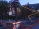 Ventimiglia: strage delle palme per punteruolo rosso. L'amministrazione patrocina un incontro pubblico
