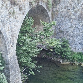 Ventimiglia, Nesci e Leuzzi (Pd): "La maggioranza Di Muro abbandona anche la sicurezza dei cittadini" Ventimiglia, Nesci e Leuzzi (Pd): "La maggioranza Di Muro abbandona anche la sicurezza dei cittadini"