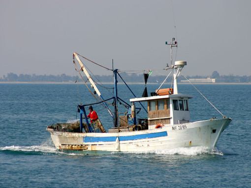 Fermo temporaneo della pesca nella nostra regione dal 19 settembre al 18 ottobre