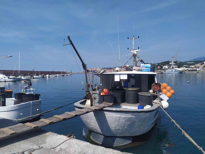 Liguria: Lega “Interverremo subito contro caro gasolio, il nostro programma a tutela dei pescatori” Liguria: Lega “Interverremo subito contro caro gasolio, il nostro programma a tutela dei pescatori”