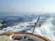 Pesca sportiva: brillante terzo posto per il Tuna Club di Imperia ai campionati italiani