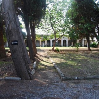 Sanremo: quattro cipressi nei cimiteri della Foce e di Poggio a rischio crollo, saranno abbattuti Sanremo: quattro cipressi nei cimiteri della Foce e di Poggio a rischio crollo, saranno abbattuti