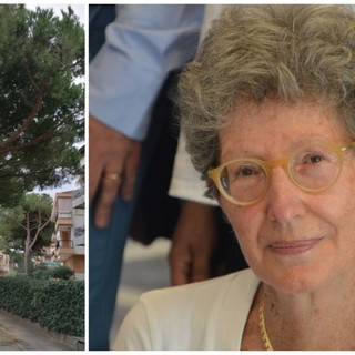 Bordighera: Mara Lorenzi “Come giustificare l’abbattimento di alberi sani per costruire piste ciclabili?” Bordighera: Mara Lorenzi “Come giustificare l’abbattimento di alberi sani per costruire piste ciclabili?”