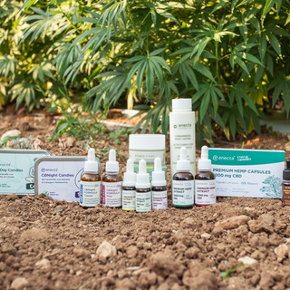 CBD e sport, la scienza conferma i benefici per l’allenamento CBD e sport, la scienza conferma i benefici per l’allenamento