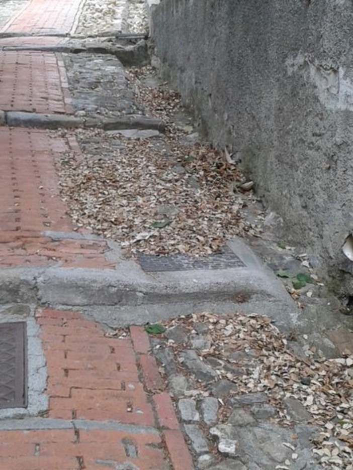 Seborga: poca pulizia delle vie del paese, la puntuale segnalazione di un nostro lettore Seborga: poca pulizia delle vie del paese, la puntuale segnalazione di un nostro lettore