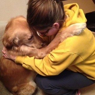 Sanremo: ASD Insieme promuove il corso per l'ottenimento della qualifica di Pet Terapy