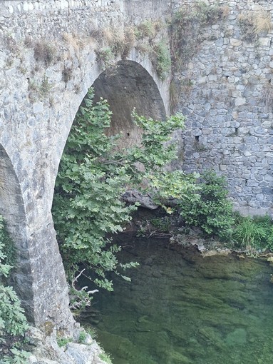 Ventimiglia, Nesci e Leuzzi (Pd): "La maggioranza Di Muro abbandona anche la sicurezza dei cittadini" Ventimiglia, Nesci e Leuzzi (Pd): "La maggioranza Di Muro abbandona anche la sicurezza dei cittadini"