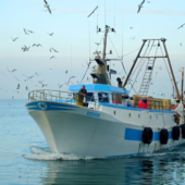 Bordighera: incontro positivo tra Comune e associazioni di categoria sul porto turistico