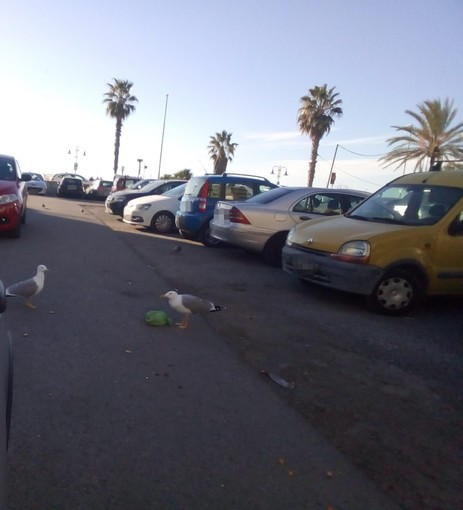 Ventimiglia, "sporcizia e degrado nel parcheggio sul lungomare": la segnalazione Ventimiglia, "sporcizia e degrado nel parcheggio sul lungomare": la segnalazione