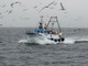 Regione Liguria: approvate linee indirizzo formazione su salute e sicurezza sul lavoro marittimi su barche da pesca