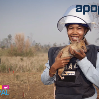 Aspettando Petsfestival: le video notizie che raccontano la mostra mercato più grande del settore