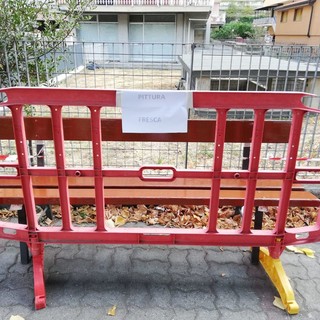 Ventimiglia: pitturate le panchine in zona Roverino e ripulito il quartiere dalle foglie secche, il comitato ringrazia il Vice Sindaco Bertolucci Ventimiglia: pitturate le panchine in zona Roverino e ripulito il quartiere dalle foglie secche, il comitato ringrazia il Vice Sindaco Bertolucci