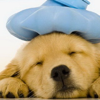 Sanremo: presso la ASD Insieme di via Volta, al via a febbraio tre diffrenti corsi Sanremo: presso la ASD Insieme di via Volta, al via a febbraio tre diffrenti corsi