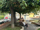 Foto Gruppo Facebook Vivi Imperia Foto Gruppo Facebook Vivi Imperia