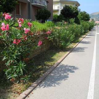 Un tratto della pista ciclabile a Riva Ligure. Un tratto della pista ciclabile a Riva Ligure.