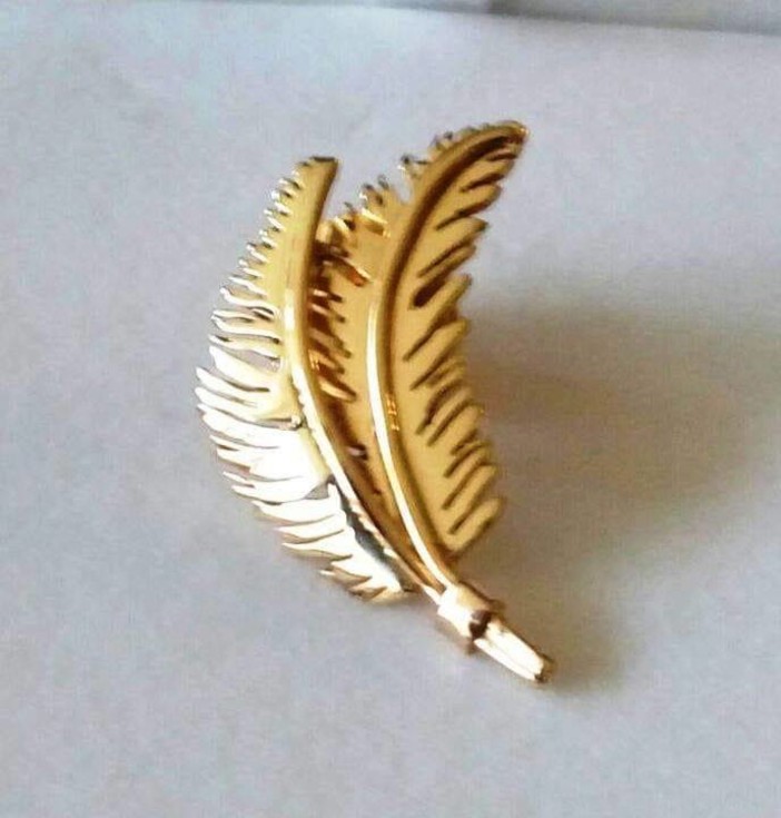 Bordighera, Parmurelu d’Oru 2025: la premiazione sarà il 13 dicembre Bordighera, Parmurelu d’Oru 2025: la premiazione sarà il 13 dicembre