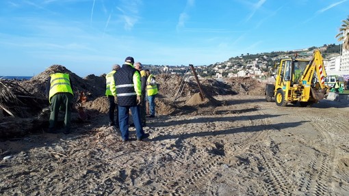 Arma di Taggia: spiagge pronte per i turisti entro le vacanze di Pasqua, iniziata la rimozione del legname