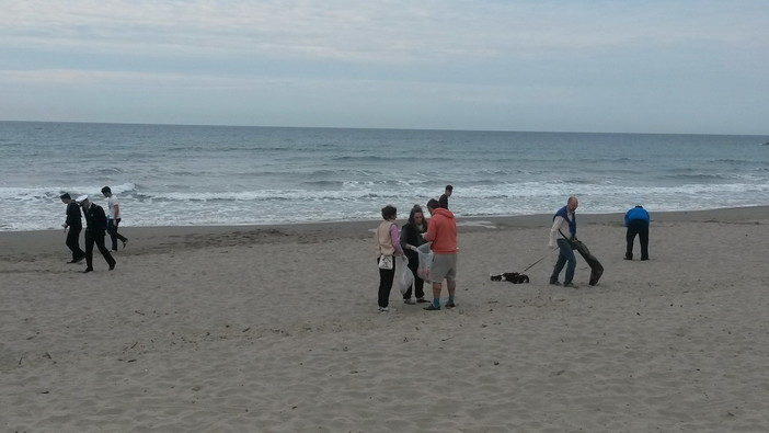 Anche viagra e preservativi scovati nelle spiagge della provincia dai volontari di M'Importa. La pulizia questa mattina